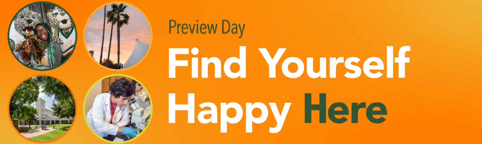 Preview Day Banner
